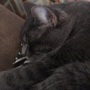 Meet your Posher, Christine